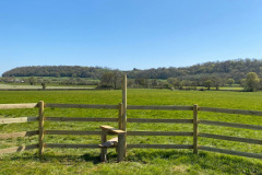 Oak Tree Meadow