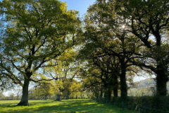 Somerset country escape
