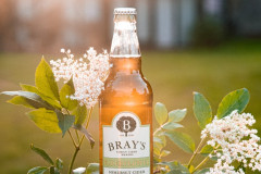 brays-3994_original-Medium