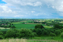 Burrow Hill