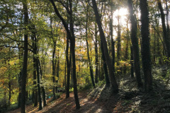 Blackdown Hills