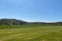view from Oak tree meadow