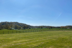 view from Oak tree meadow