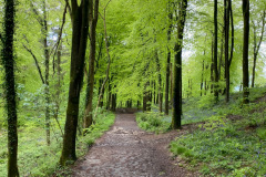 Blackdown Hills