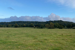 view from Oak tree meadow