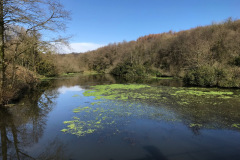Otterhead Lakes