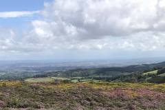 Quantock Hills