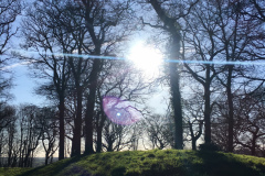 Blackdown Hills