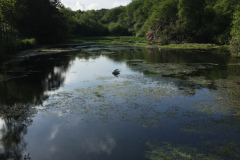 Otterhead Lakes